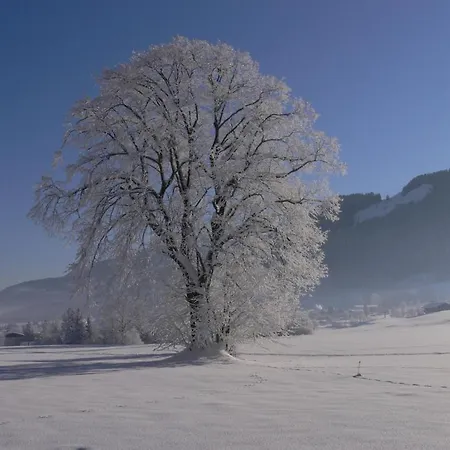 Garni & Ilgerhof Apartmanhotel