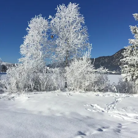 Aparthotel Garni&appartements Ilgerhof Walchsee