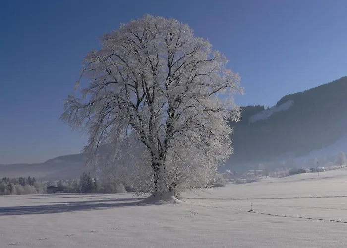 Garni & Ilgerhof Lägenhetshotell